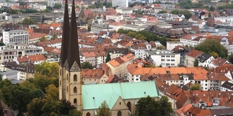 Bilefelder pasmina pilića: održavanje i njega